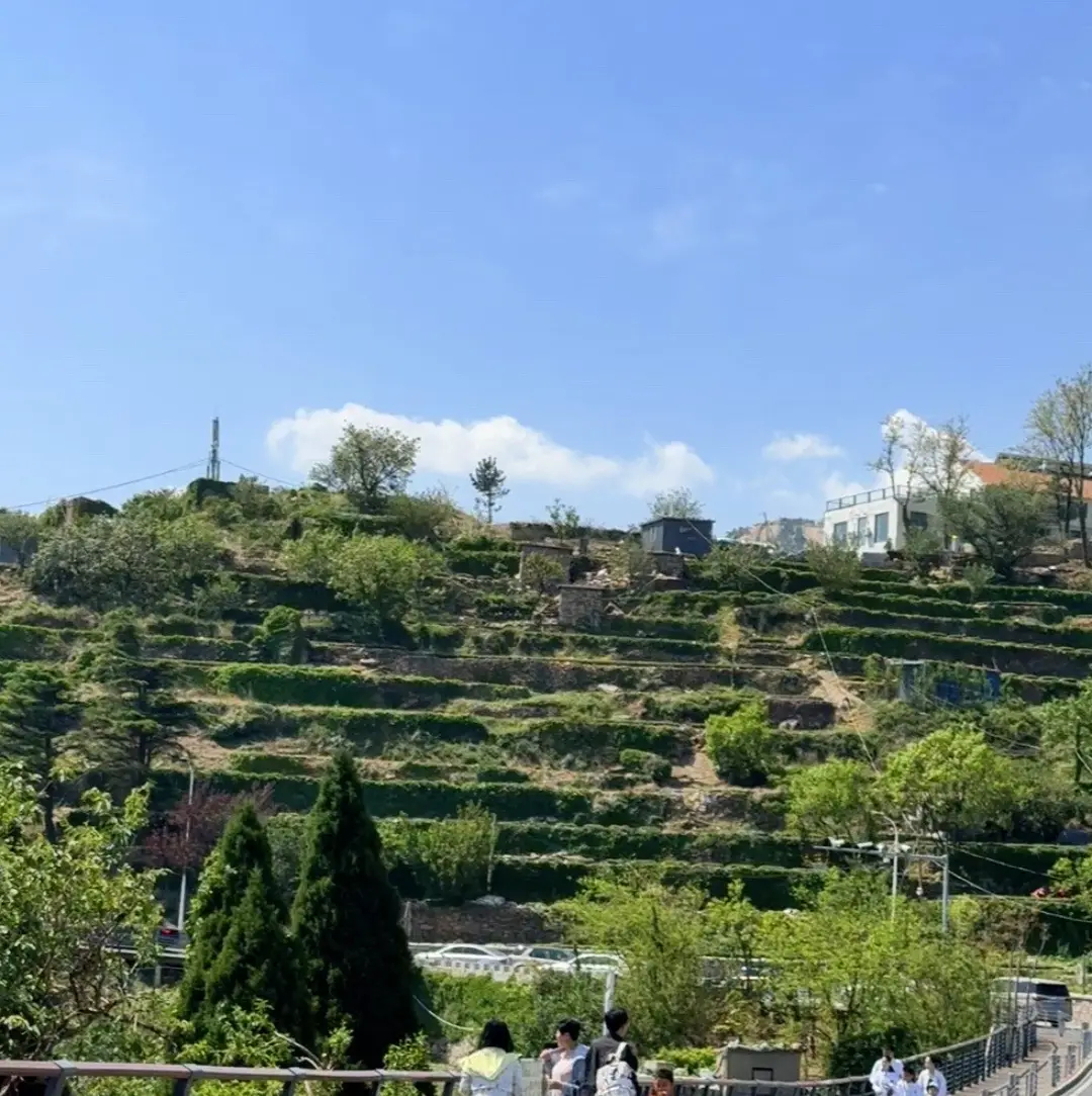 KPL新赛季战队评级：AG坚如磐石，WB巅峰稳居，狼队潜力无限